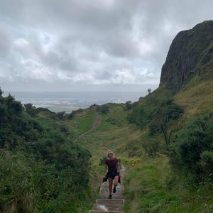 Meet your Posher, Dana